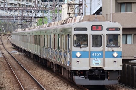 31556015_s