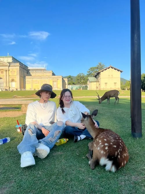 outing-deer-greenlawn-house