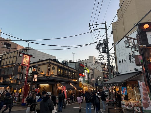 Image_20251121_172340_234 (1)