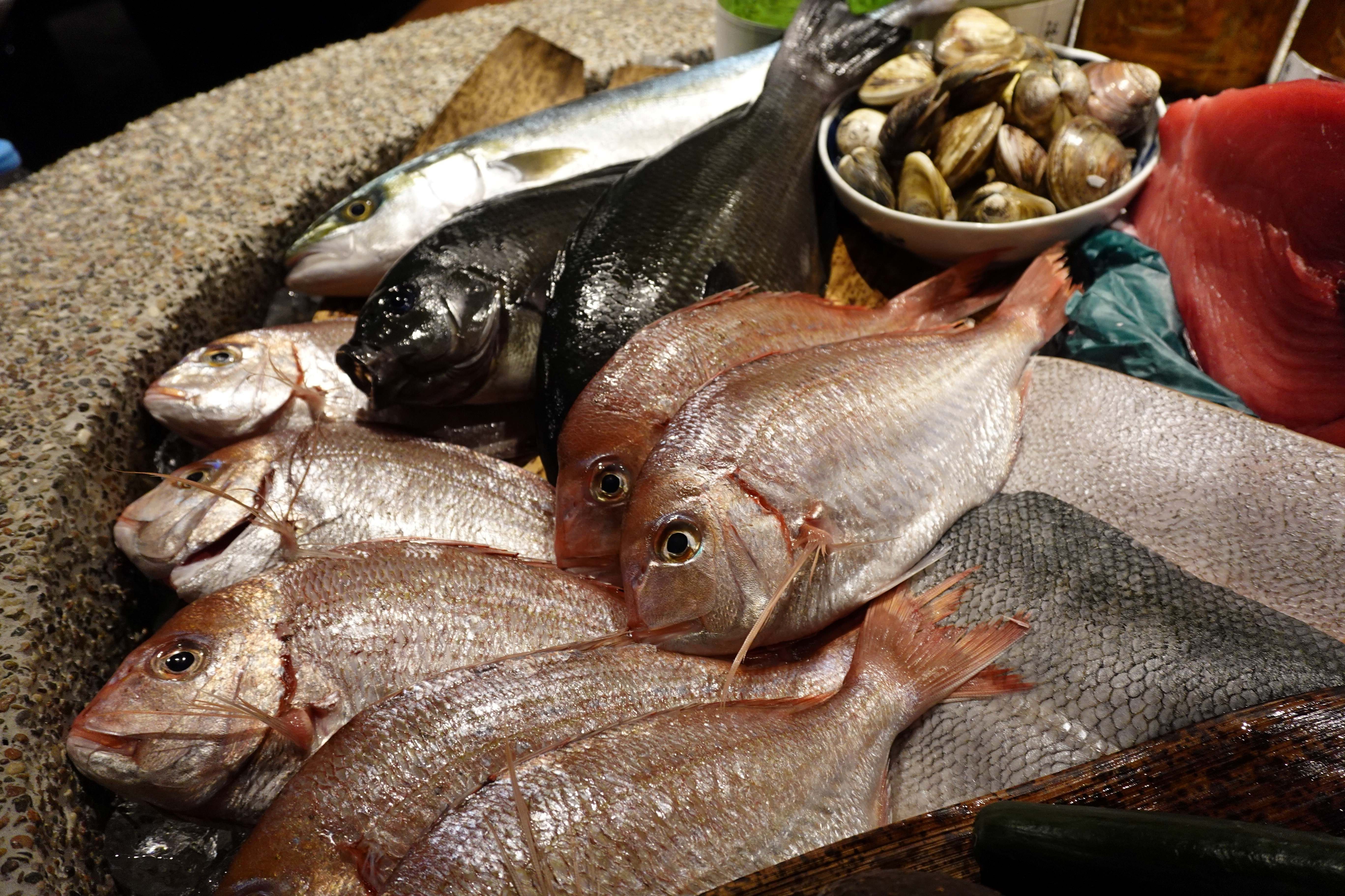 3魚s
