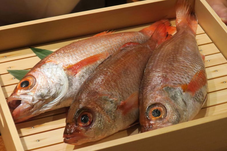 魚