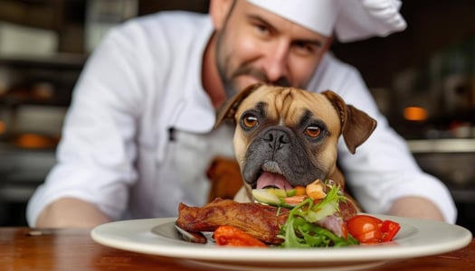 chef says ok to allow pets entering restaurants