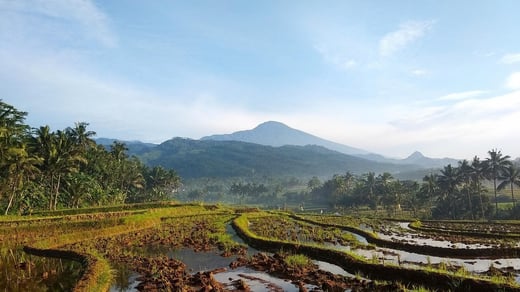 mountain-7269489_1280
                 