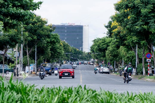 pexels-thongtran95-12190051
                 