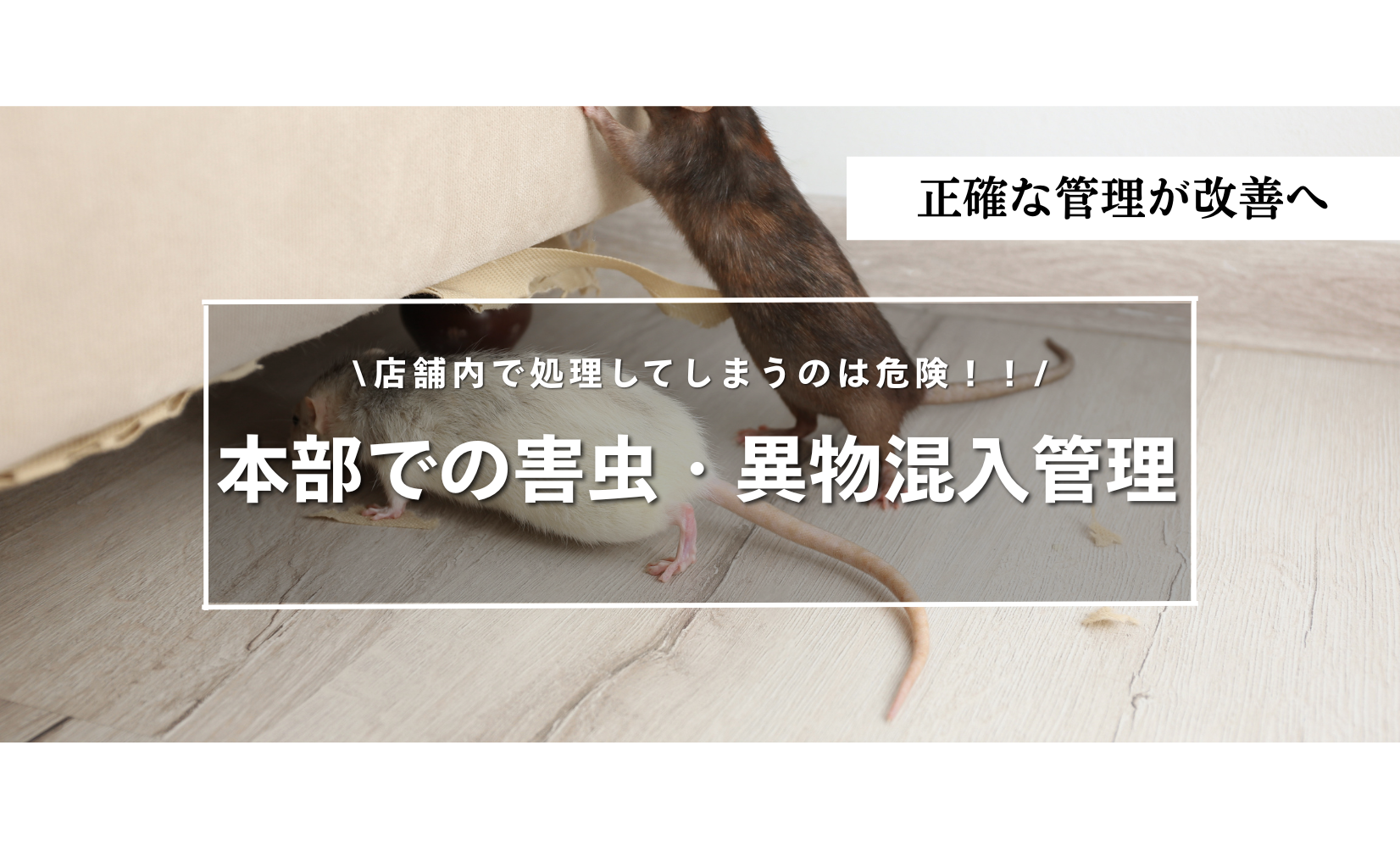 まるっと情報局ロゴ
