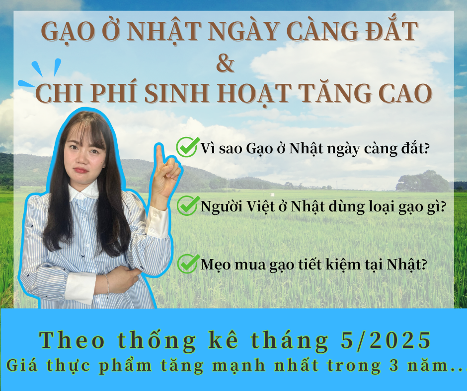 【生活費の高騰】日本でお米がますます高騰中、在日ベトナム人はどう対応すべきか？