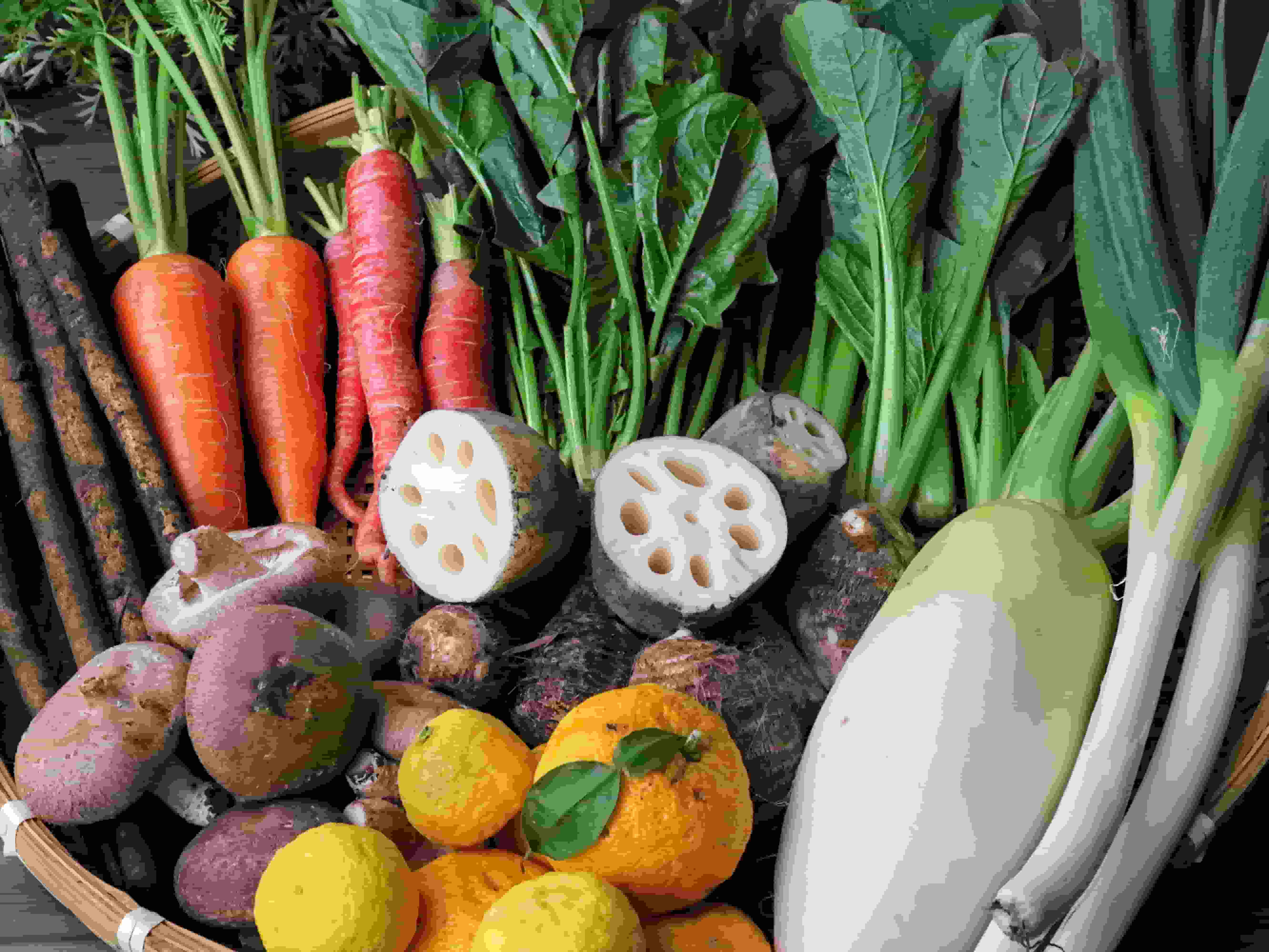 取れたての野菜