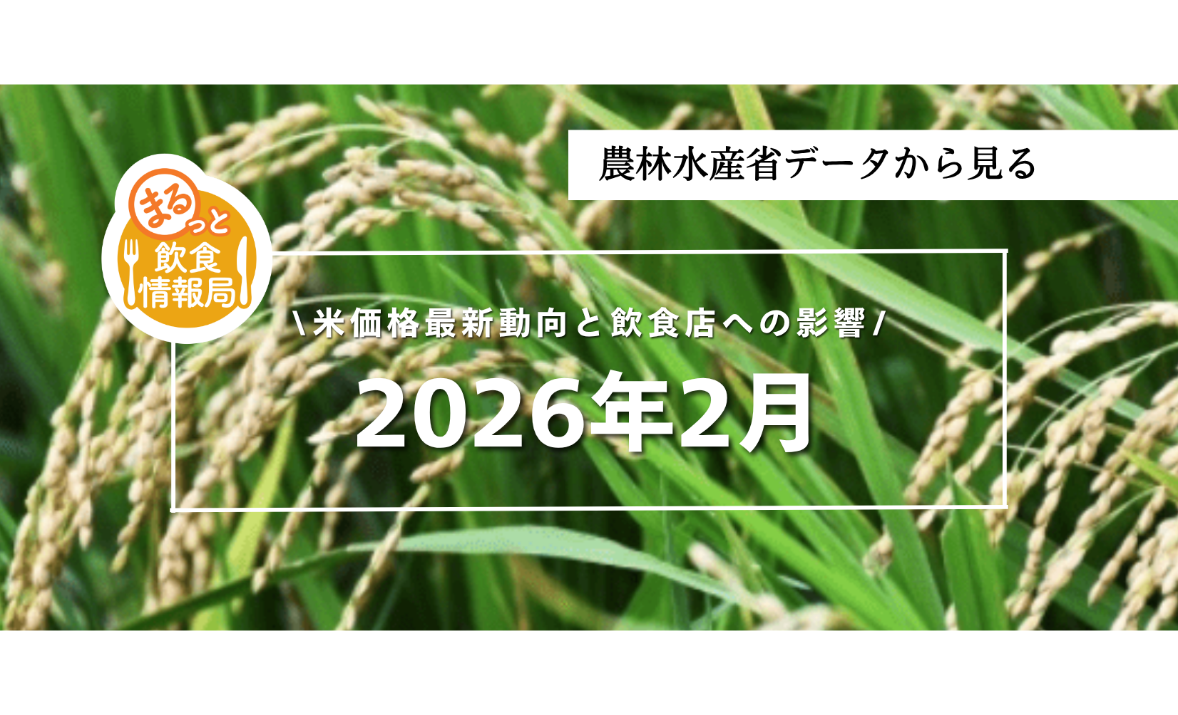 米価格145％時代は継続へ｜飲食店が今やるべき原価戦略と仕入れ判断【米価格2026年2月】