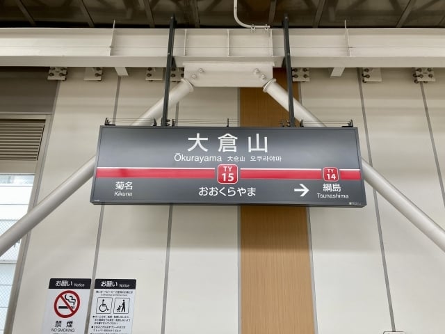 25545239_s
