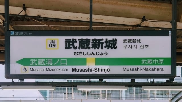 32019562_s