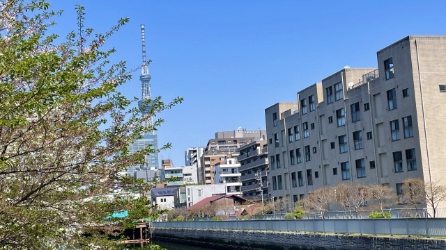 32321670_s